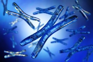 Telomeres and Aging