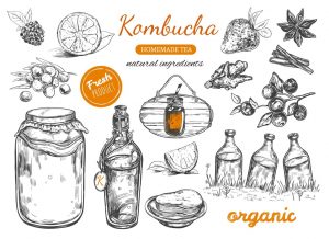 The Kombucha Health Drink In A Nutshell