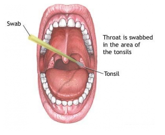 Passing a mouth swab test