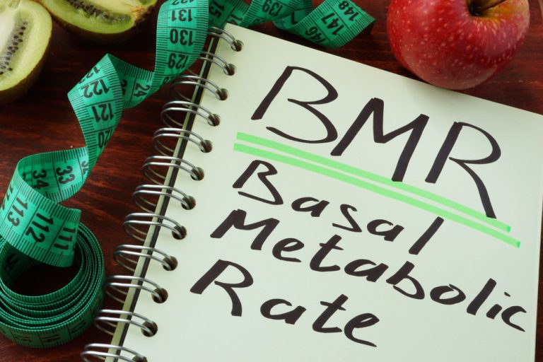 Basal Metabolic Rate What It Is, And Why It Is Important