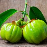 How does GarciniaCambogia work