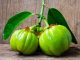 How does Garcinia Cambogia work?