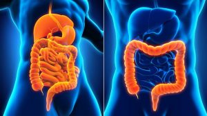 All you Need to Know About Crohn’s Disease