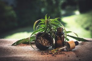 Hemp Oil And CBD Oil – Can They Transform My Health?