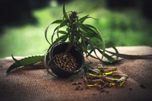 4 Reasons to Give CBD a Chance