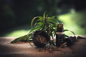 How Much CBD Oil Should You Take